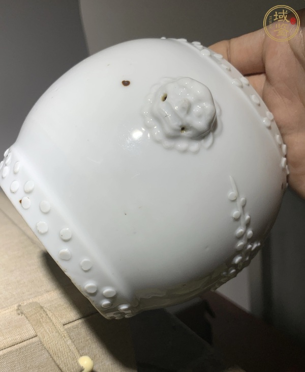 古玩陶瓷德化窯白釉獅耳鼓釘罐真品鑒賞圖