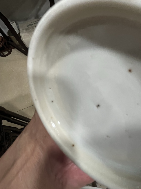 古玩陶瓷瑞獸紋青花蒜頭瓶拍賣，當前價格35000元