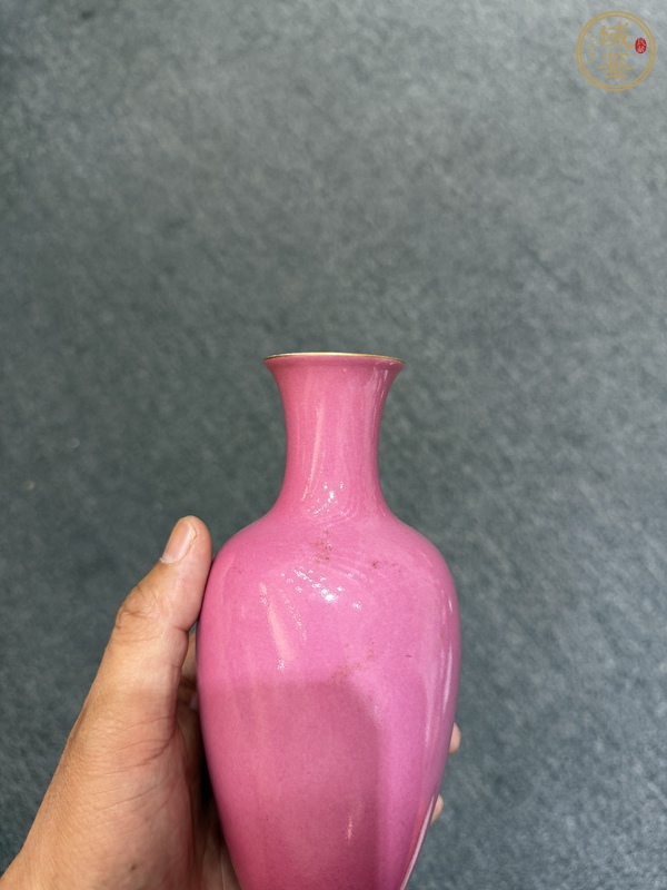 古玩陶瓷胭脂紅瓶真品鑒賞圖