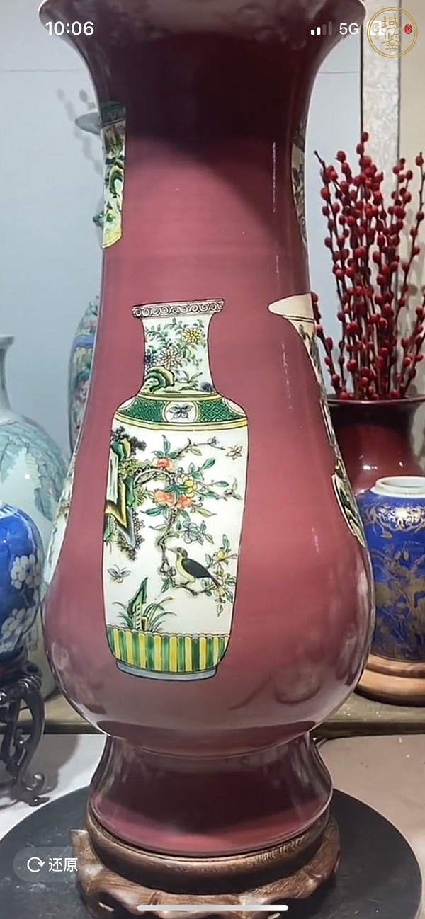 古玩陶瓷胭脂紅開光五彩花鳥紋琵琶尊真品鑒賞圖