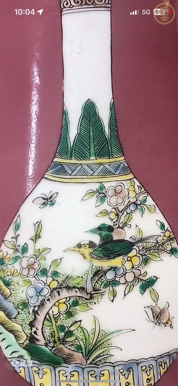 古玩陶瓷胭脂紅開光五彩花鳥紋琵琶尊真品鑒賞圖