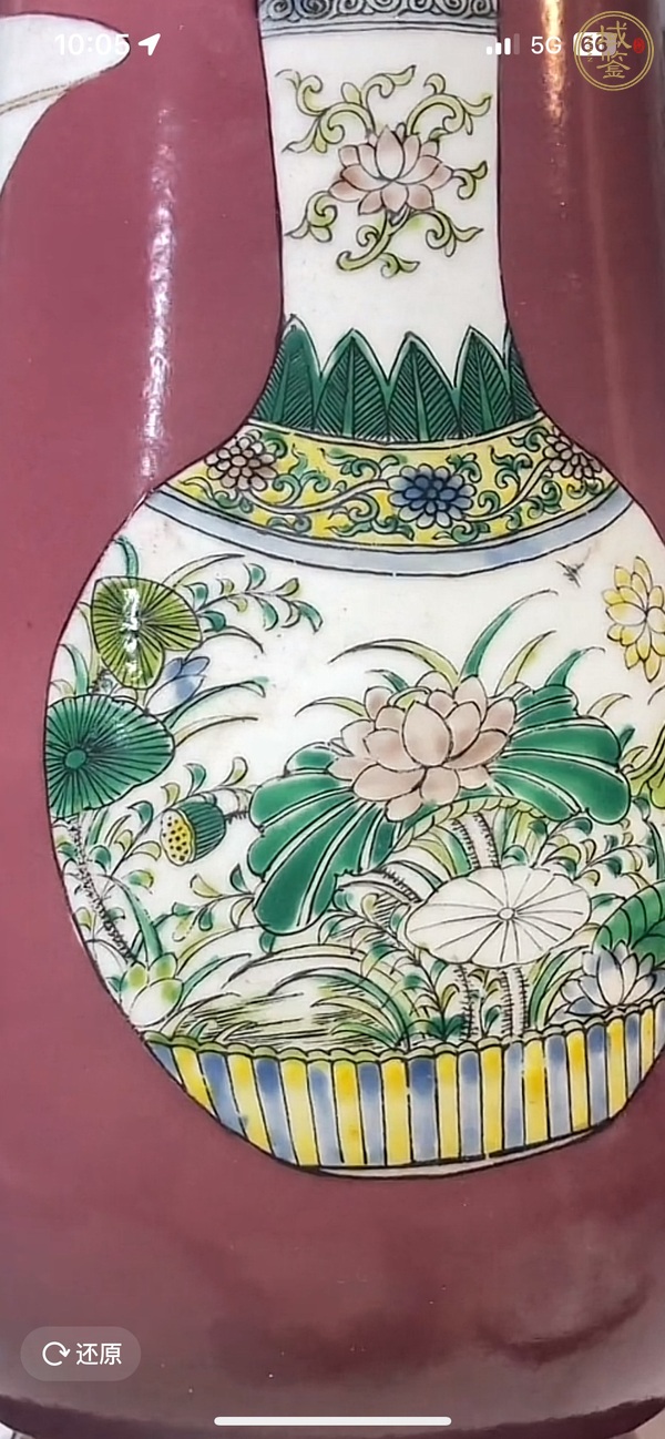 古玩陶瓷胭脂紅開光五彩花鳥紋琵琶尊真品鑒賞圖