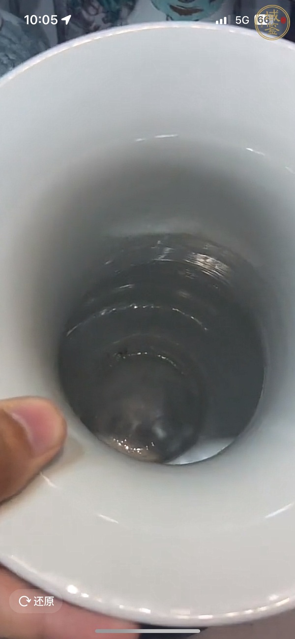 古玩陶瓷胭脂紅開光五彩花鳥紋琵琶尊真品鑒賞圖