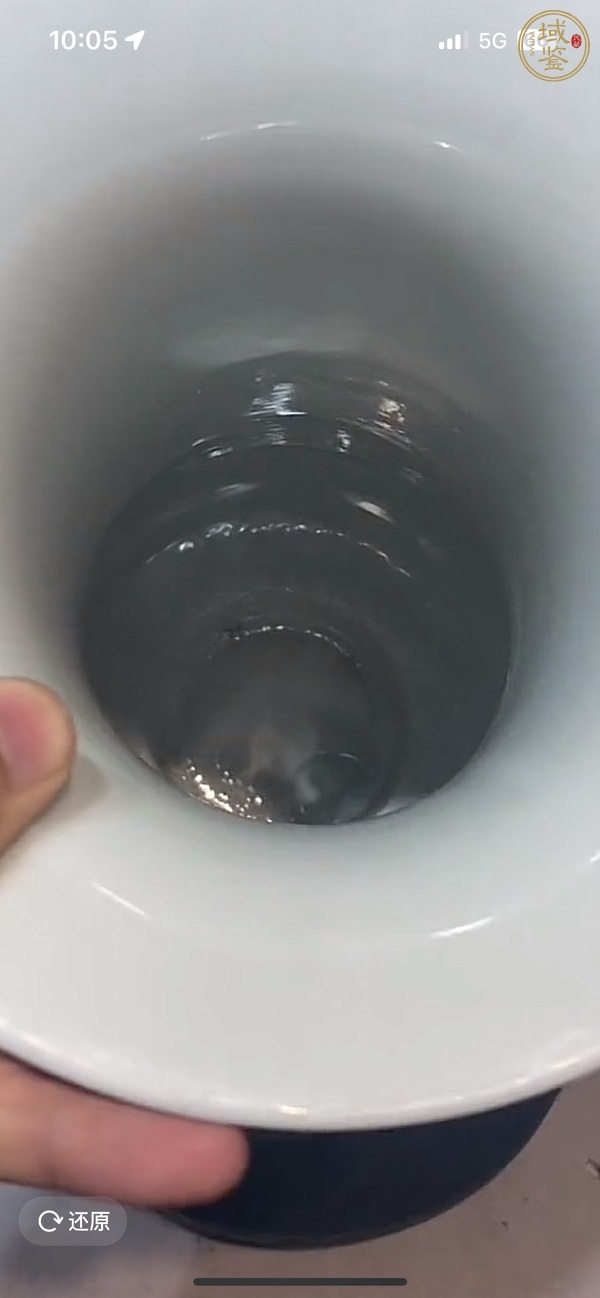 古玩陶瓷胭脂紅開光五彩花鳥紋琵琶尊真品鑒賞圖