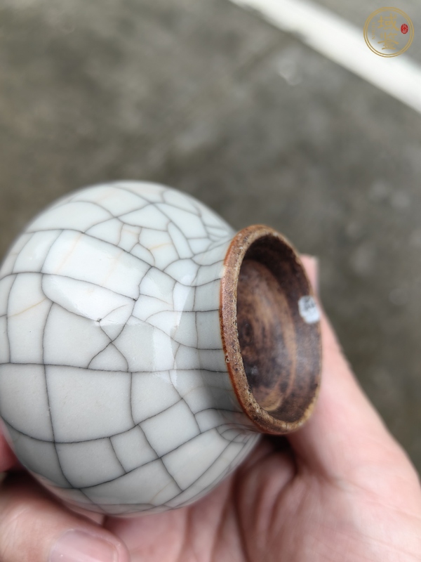 古玩陶瓷哥釉錐把瓶真品鑒賞圖
