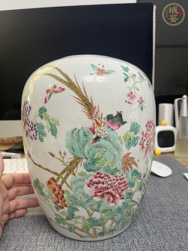 古玩陶瓷粉彩冬瓜罐真品鑒賞圖