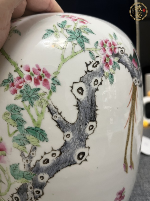 古玩陶瓷粉彩冬瓜罐真品鑒賞圖