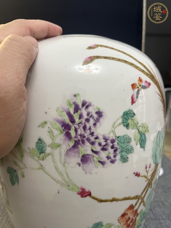 古玩陶瓷粉彩冬瓜罐真品鑒賞圖