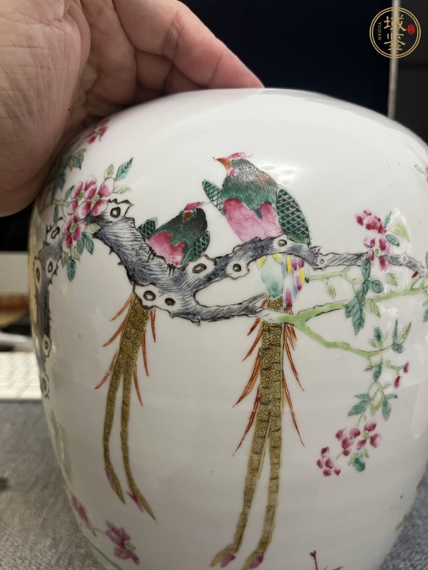 古玩陶瓷粉彩冬瓜罐真品鑒賞圖