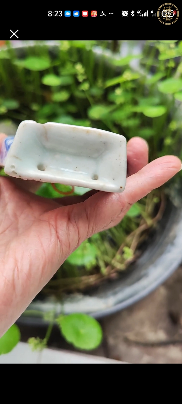 古玩陶瓷青花壁瓶真品鑒賞圖