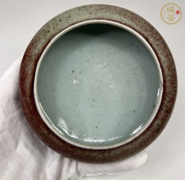 古玩陶瓷豇豆紅釉水洗真品鑒賞圖