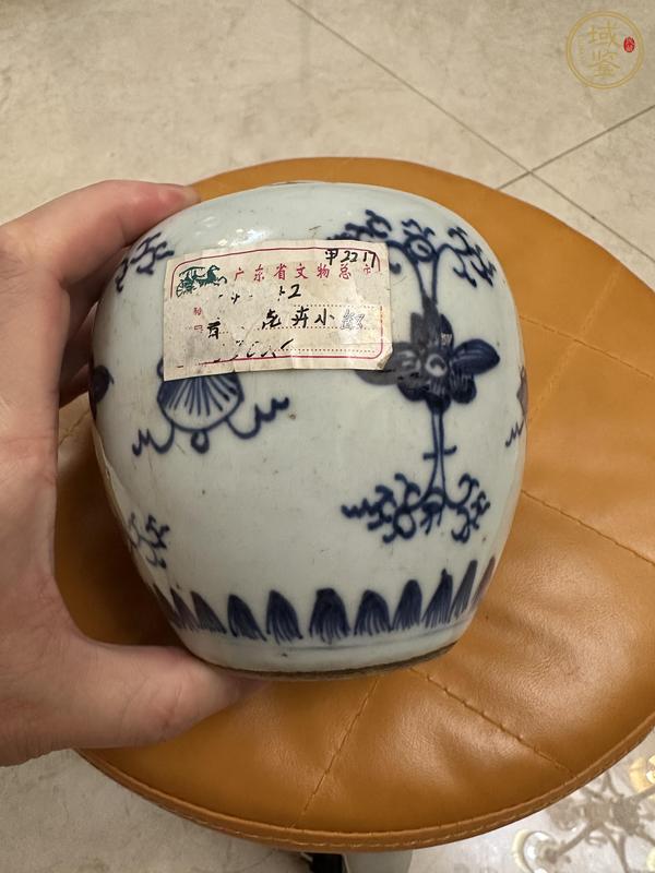 古玩陶瓷青花花間八寶紋罐真品鑒賞圖