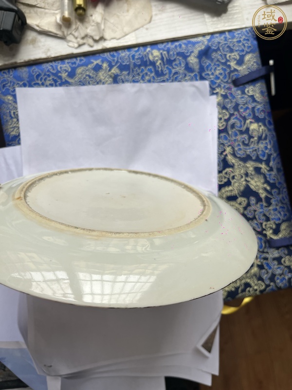 古玩陶瓷五彩龍紋折腰盤真品鑒賞圖