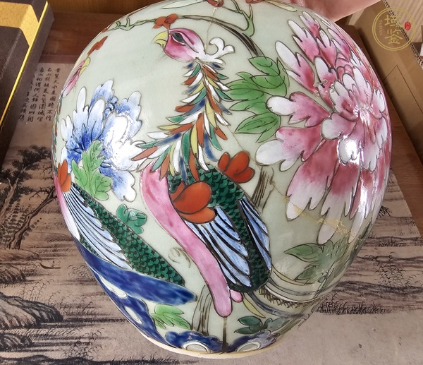古玩陶瓷鳳凰牡丹紋粉彩罐真品鑒賞圖