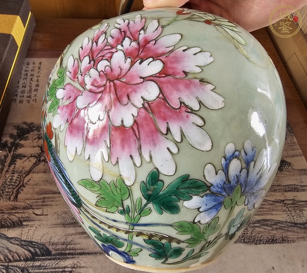古玩陶瓷鳳凰牡丹紋粉彩罐真品鑒賞圖