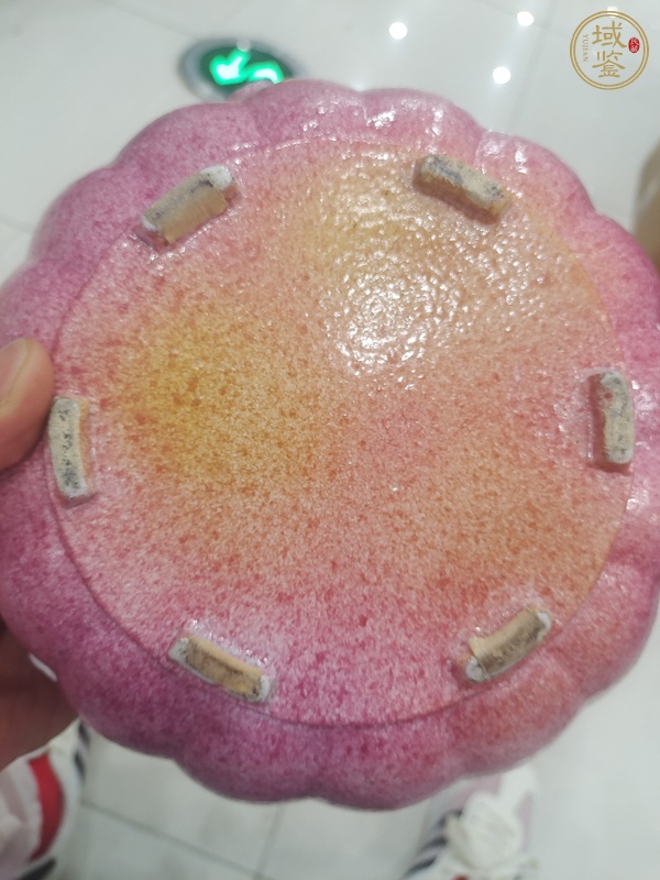 古玩陶瓷胭脂紅彩蓋盒真品鑒賞圖