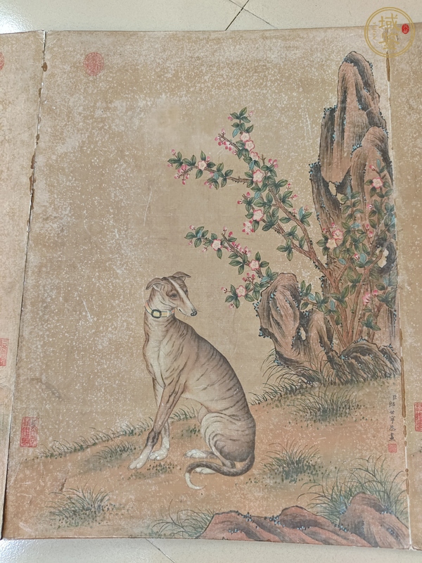 古玩字畫朗世寧款工筆冊頁真品鑒賞圖