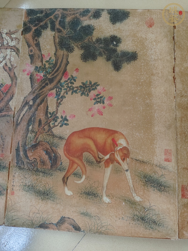 古玩字畫朗世寧款工筆冊頁真品鑒賞圖