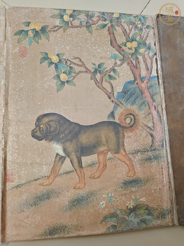 古玩字畫朗世寧款工筆冊頁真品鑒賞圖