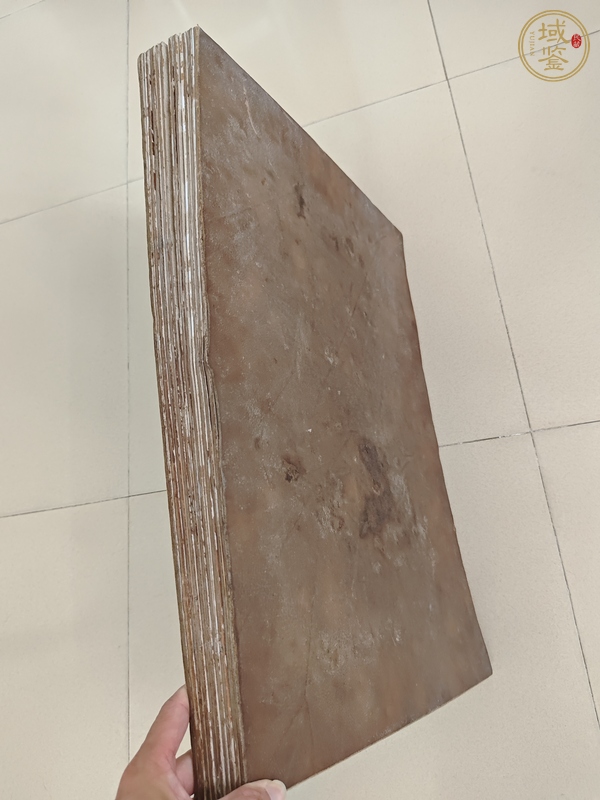 古玩字畫朗世寧款工筆冊頁真品鑒賞圖