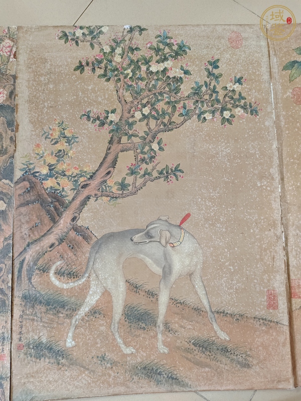 古玩字畫朗世寧款工筆冊頁真品鑒賞圖