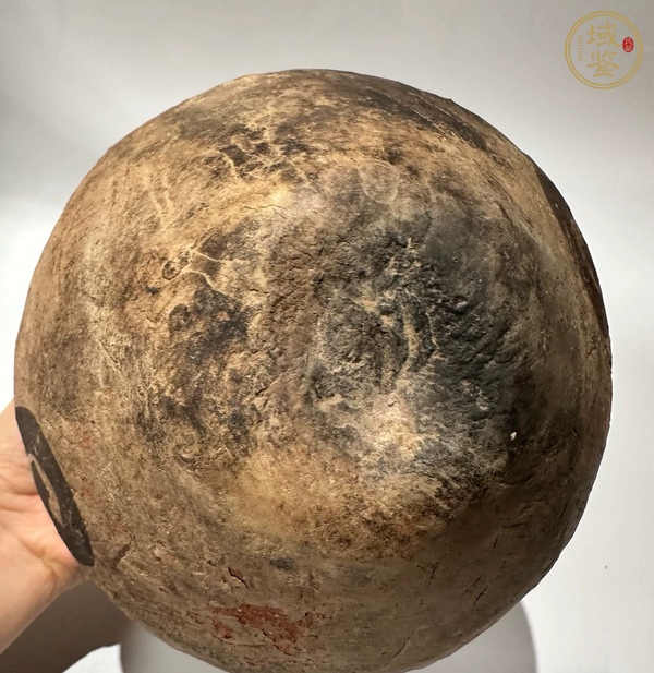 古玩陶瓷辛店文化真品鑒賞圖