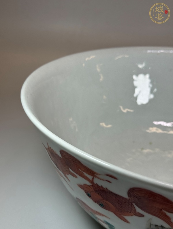 古玩陶瓷清同治 粉彩魚藻紋大碗真品鑒賞圖