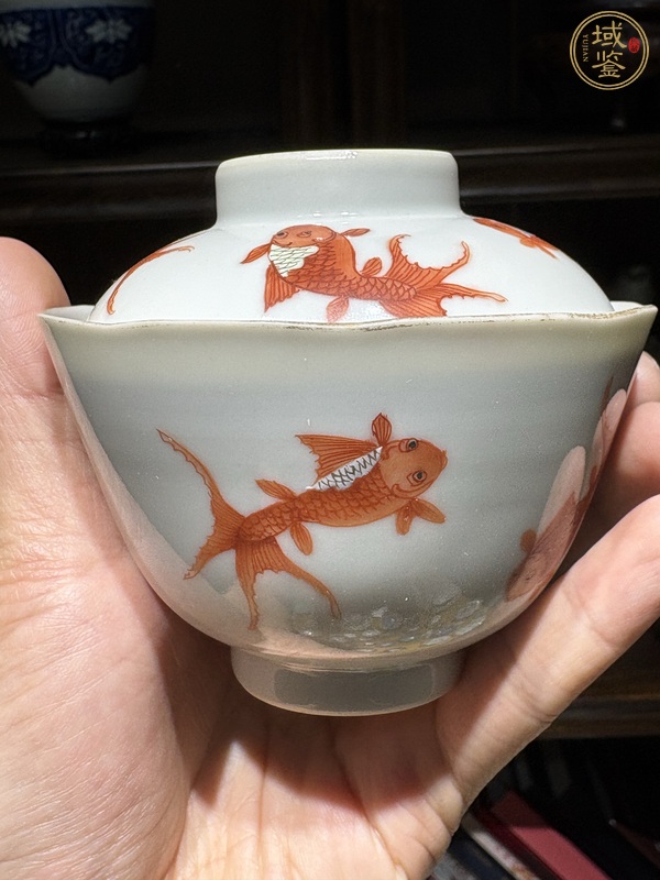 古玩陶瓷礬紅金魚紋蓋碗真品鑒賞圖