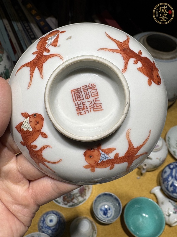 古玩陶瓷礬紅金魚紋蓋碗真品鑒賞圖