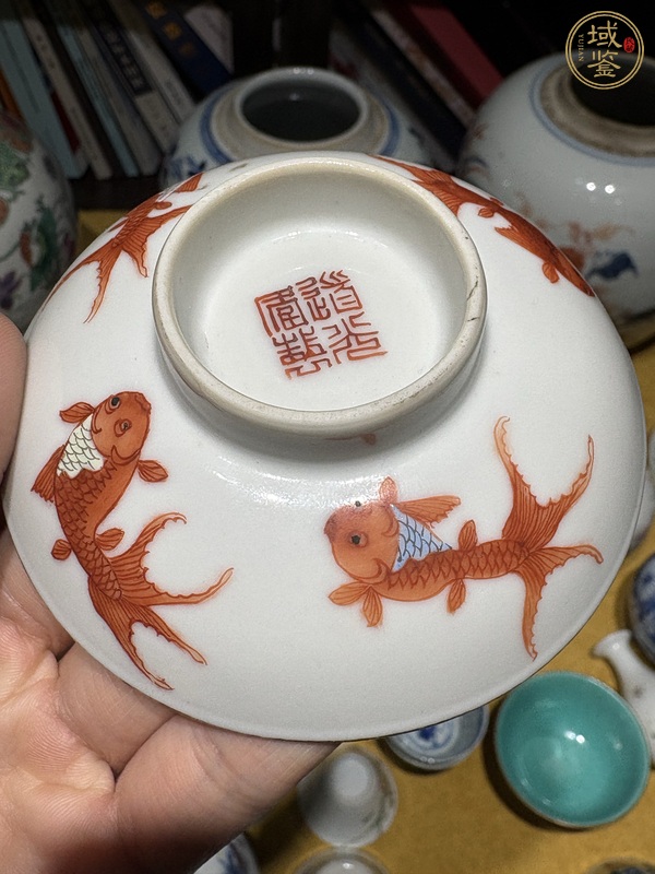 古玩陶瓷礬紅金魚紋蓋碗真品鑒賞圖