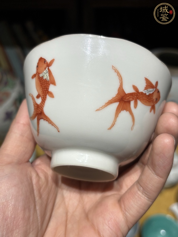 古玩陶瓷礬紅金魚紋蓋碗真品鑒賞圖