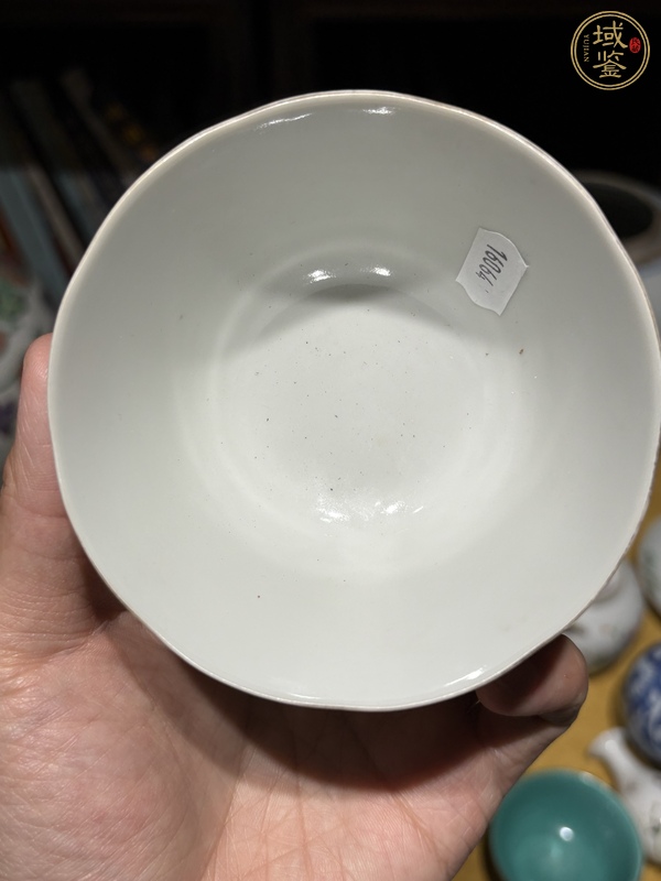 古玩陶瓷礬紅金魚紋蓋碗真品鑒賞圖