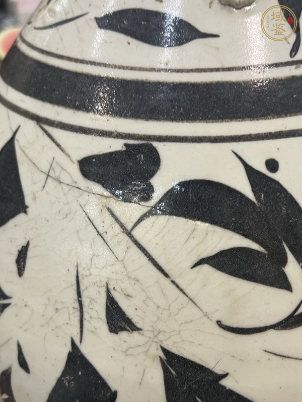 古玩陶瓷磁州窯白地黑花雙耳瓶真品鑒賞圖