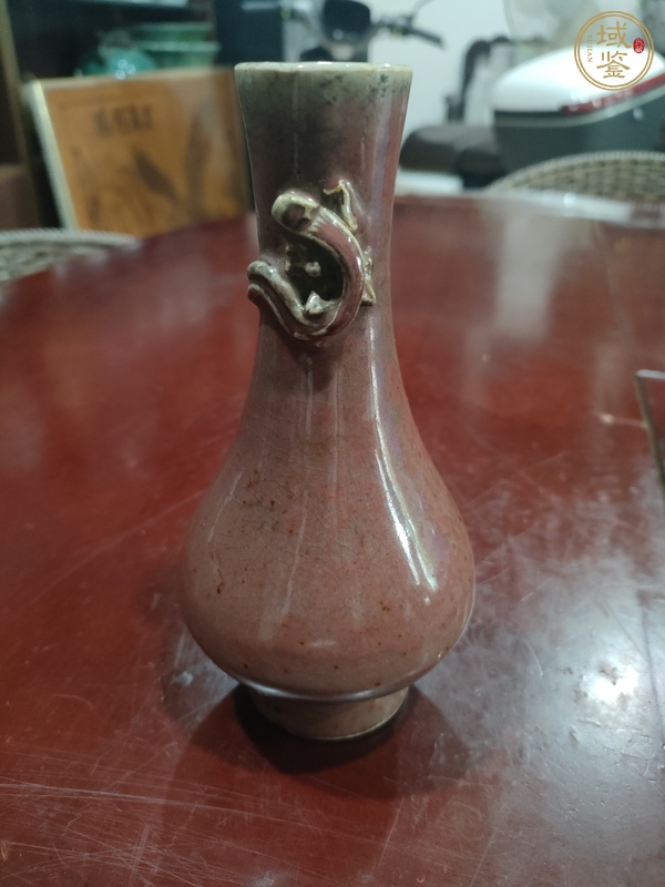 古玩豇豆紅釉螭龍瓶真品鑒賞圖