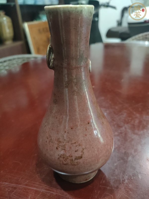 古玩陶瓷豇豆紅釉螭龍瓶真品鑒賞圖