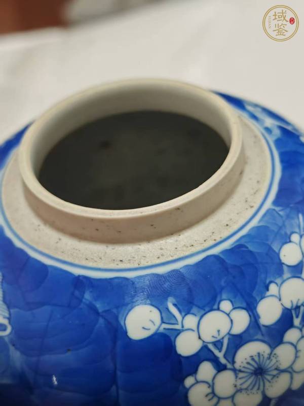 古玩陶瓷青花留白冰梅紋罐真品鑒賞圖