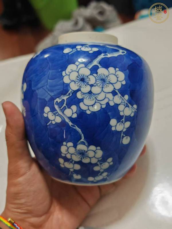 古玩陶瓷青花留白冰梅紋罐真品鑒賞圖