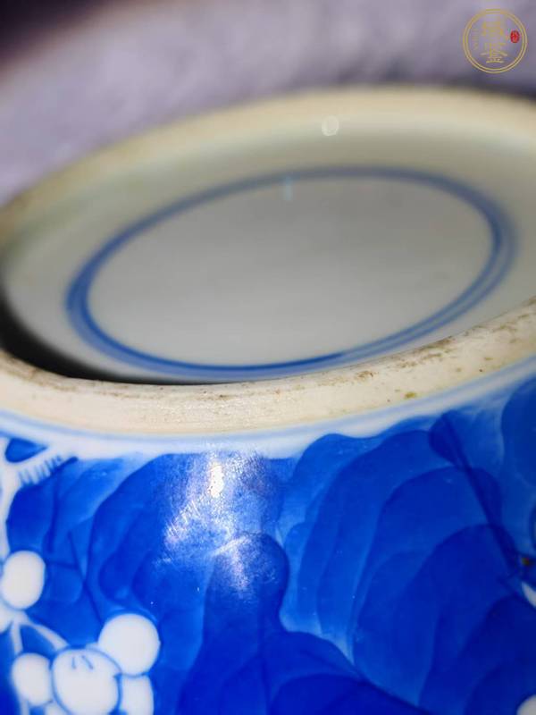 古玩陶瓷青花留白冰梅紋罐真品鑒賞圖