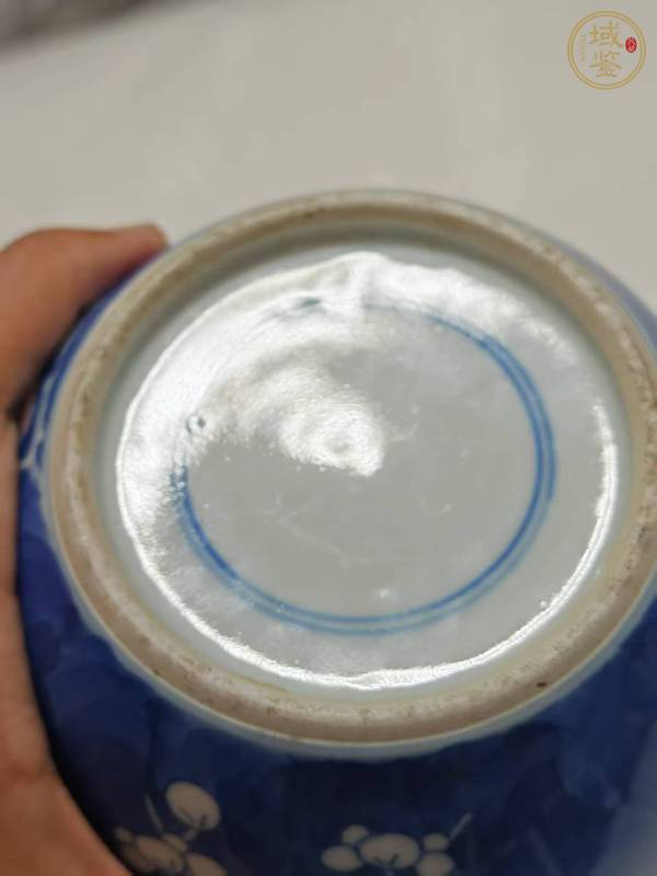 古玩陶瓷青花留白冰梅紋罐真品鑒賞圖