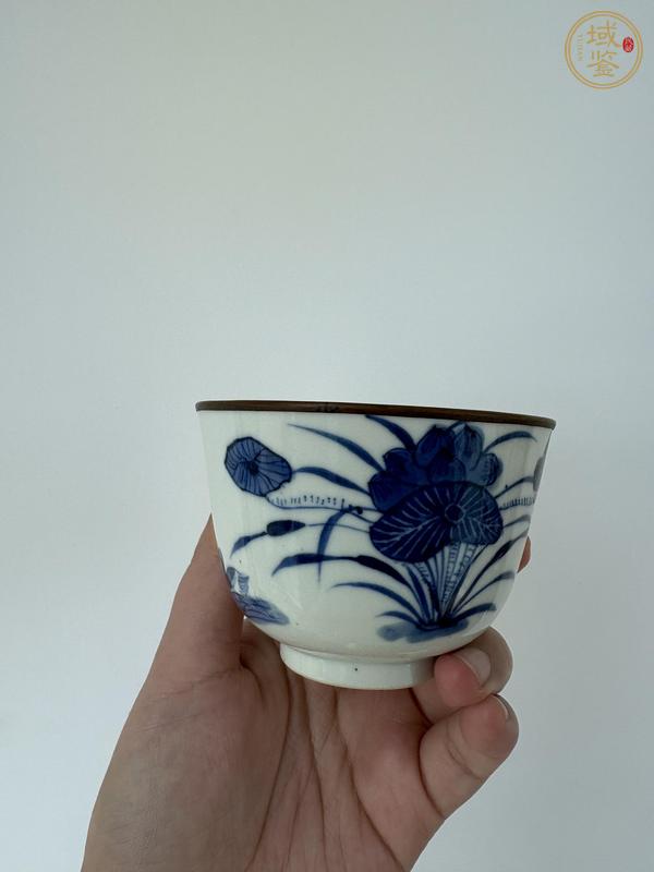 古玩陶瓷蓮池游禽滿池嬌青花杯真品鑒賞圖
