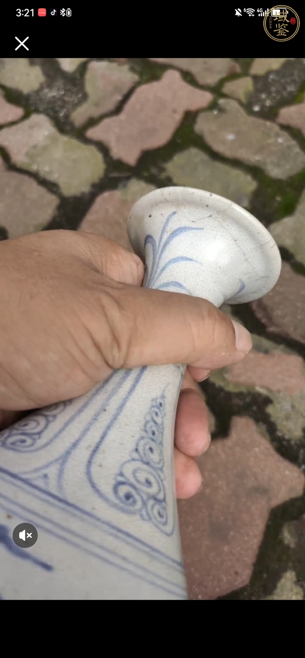 古玩陶瓷晚明安南窯玉壺春瓶真品鑒賞圖