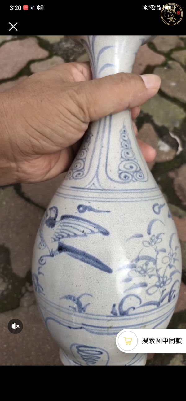 古玩陶瓷晚明安南窯玉壺春瓶真品鑒賞圖