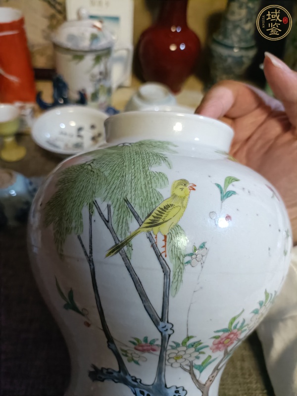 古玩陶瓷粉彩花鳥紋罐真品鑒賞圖