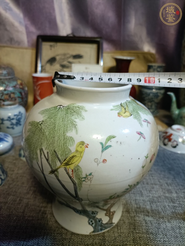 古玩陶瓷粉彩花鳥紋罐真品鑒賞圖
