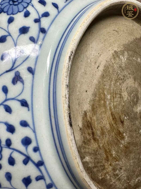 古玩陶瓷青花一把蓮紋臥盤真品鑒賞圖