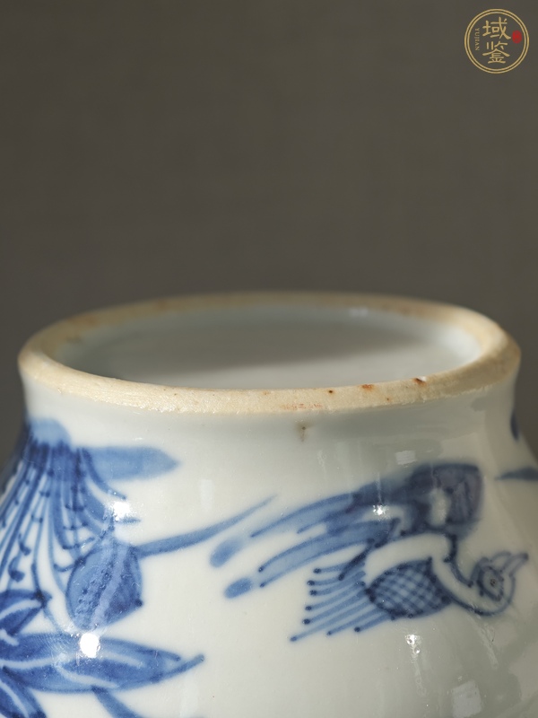 古玩陶瓷青花荷塘鴛鴦紋文房水缸真品鑒賞圖