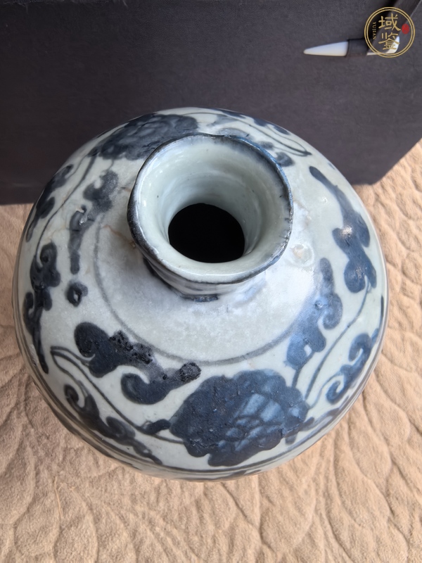 古玩陶瓷青花云紋梅瓶真品鑒賞圖