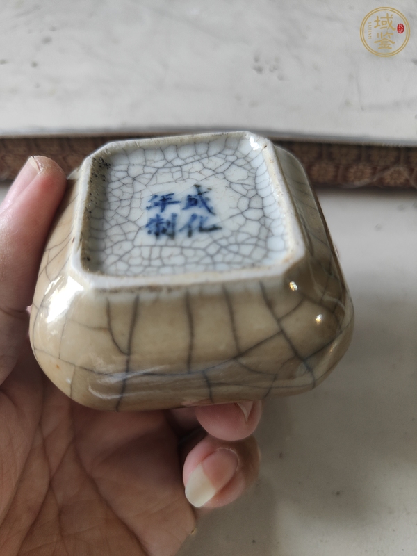 古玩陶瓷黃哥釉水盂真品鑒賞圖