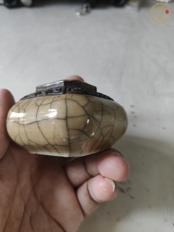 古玩陶瓷黃哥釉水盂真品鑒賞圖