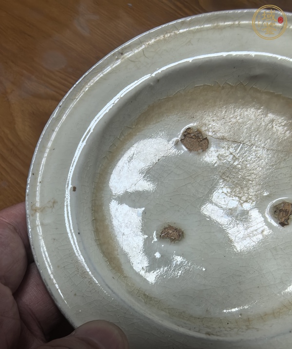 古玩陶瓷白釉折沿盤真品鑒賞圖